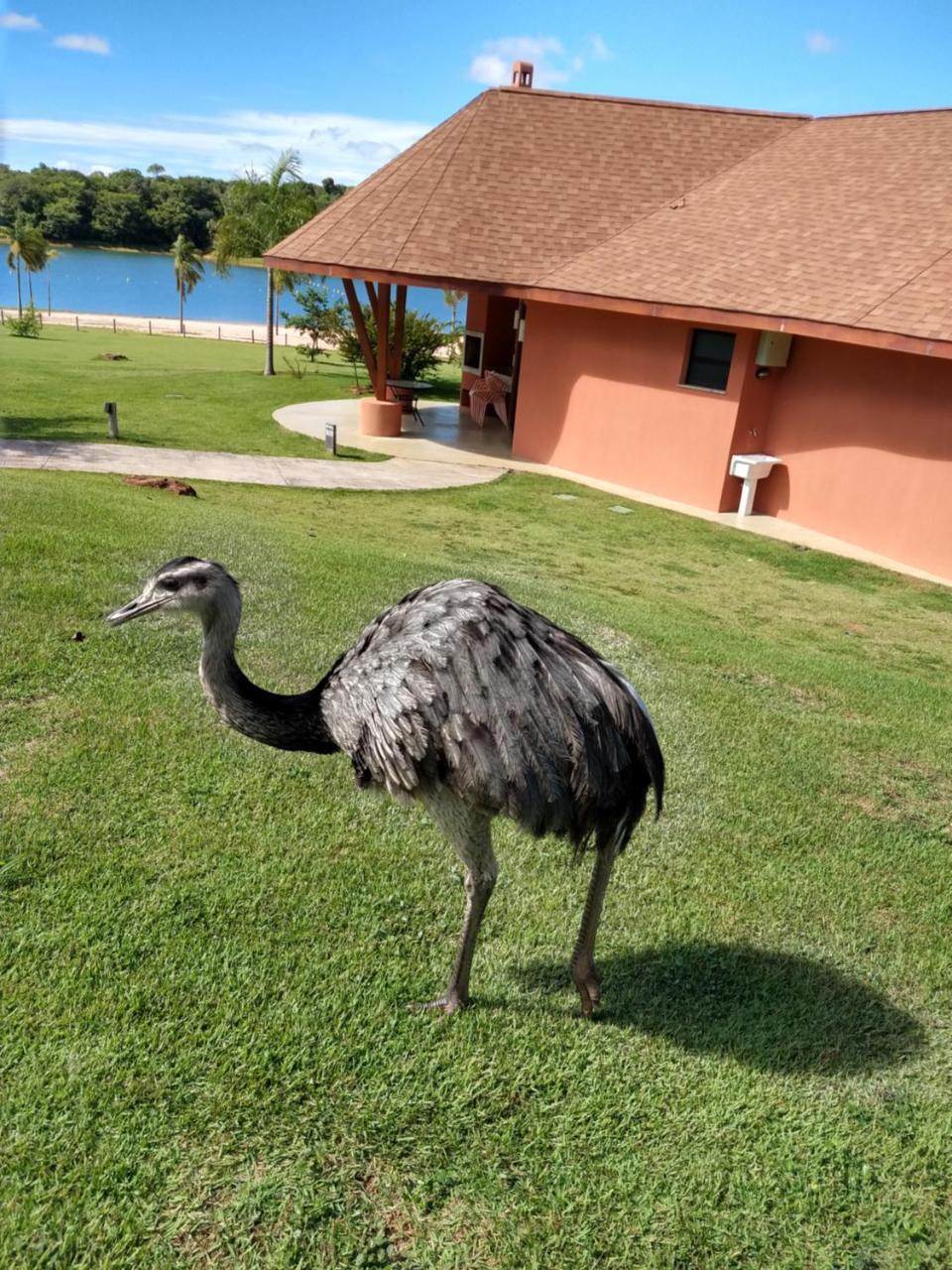 Malai Manso Cotista - Resort Acomodacoes 4 Hosp (Adults Only) Retiro  Zewnętrze zdjęcie